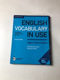 ENGLISH VOCABULARY IN USE