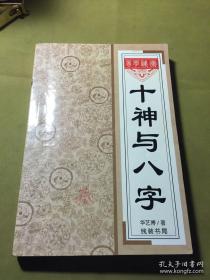 十神与八字