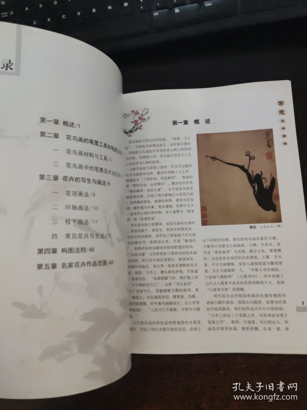 中国画基础画法丛书：写意花卉画法