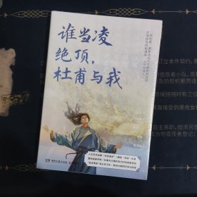 谁当凌绝顶,杜甫与我