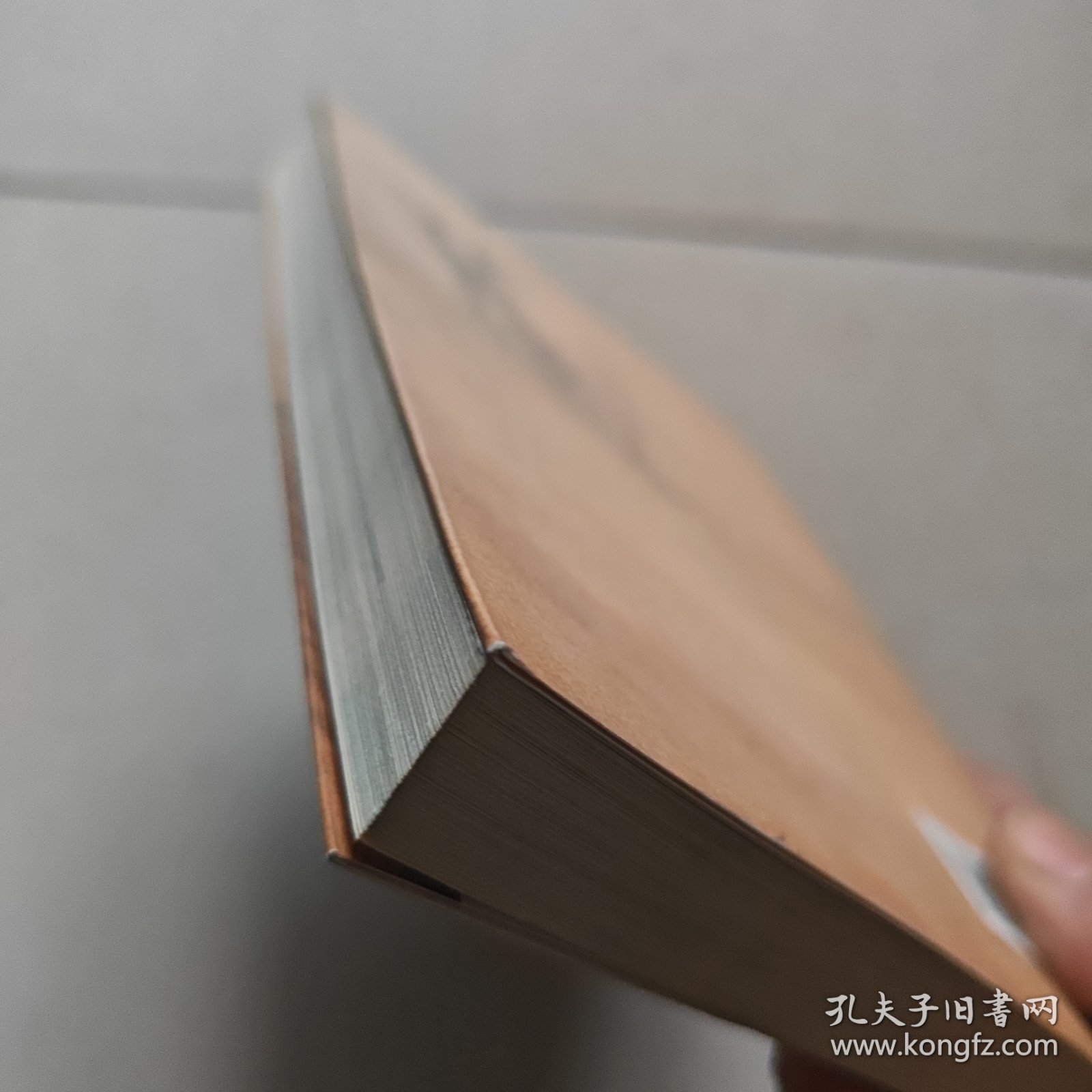 行走龟兹（作家视线丛书第12辑）