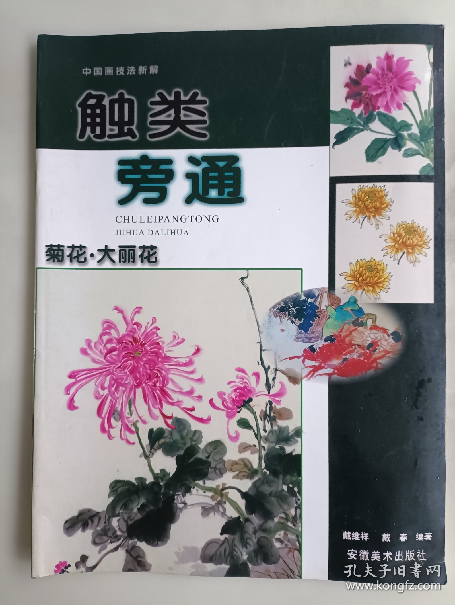 触类旁通 菊花 大丽花