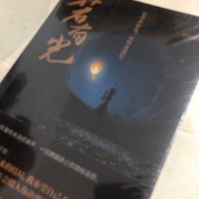 若有光（紫金陈特别推荐，堪比《沉默的真相》的社会派推理大作）