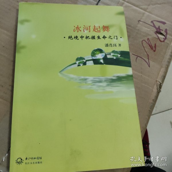 冰河起舞：绝境中把握生命之门