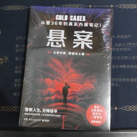 悬案（从警36年的真实办案手记！人性正邪的抉择与较量！ ）