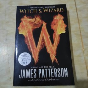 JAMES PATTERSON WITCH & WIZARD