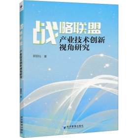 战略联盟 产业技术创新视角研究