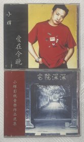 CD：小辉影视音乐作品选集--宅院深深+爱你今晚（两盘合售）
