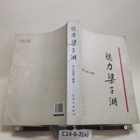 魅力梁子湖