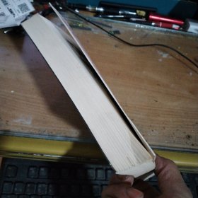 实战图解泰国拳