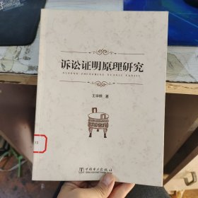 诉讼证明原理研究