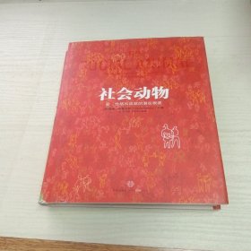 社会动物：爱、性格和成就的潜在根源