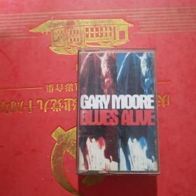 磁带：Gary Moore: Blues Alive
