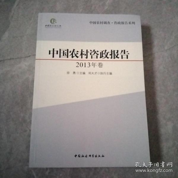 中国农村调查·咨政报告系列：中国农村咨政报告（2013年卷）