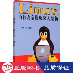 Linux内核安全模块深入剖析