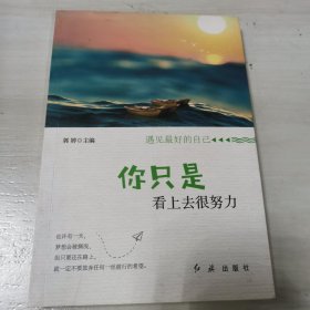 遇见最好的自己:你只是看上去很努力