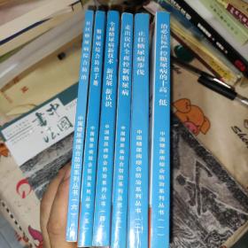 中国糖尿病综合防治系列丛书【1-6册全】