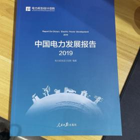 中国电力发展报告2019