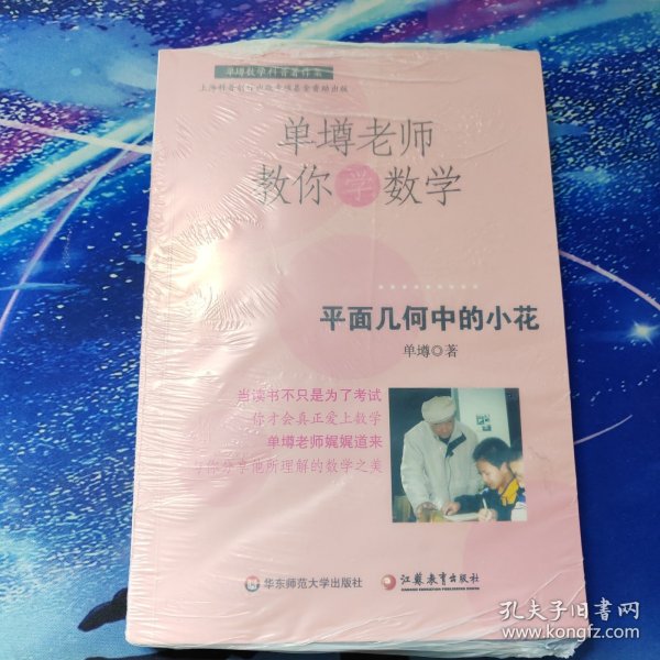 单壿老师教你学数学：平面几何中的小花