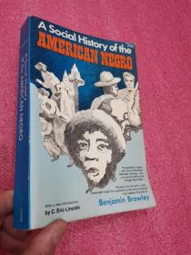 A Social History of the American Negro