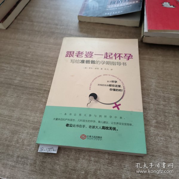 跟老婆一起怀孕：写给准爸爸的孕期指导书