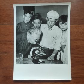 超大尺寸：1959年5月18日，刘少奇视察中国农业科学院土壤肥料研究所