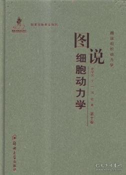 图说组织动力学：图说细胞动力学（第十卷）