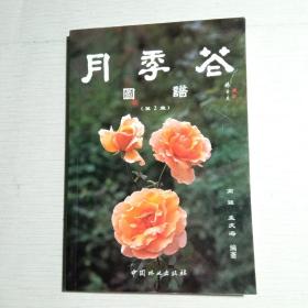 月季花图谱(第2集)