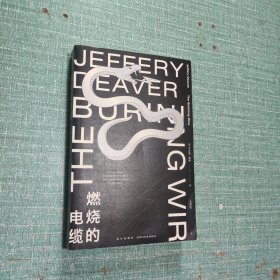 燃烧的电缆