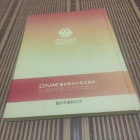 重庆联合产权成立5周年记念册