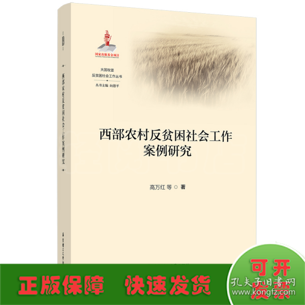 西部农村反贫困社会工作案例研究