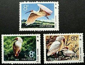 邮票T94朱鹮（全套3枚·原胶新票）