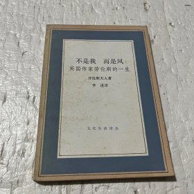 不是我 而是风：英国作家劳伦斯的一生