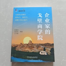 企业家的戈壁商学院：戈壁挑战赛的领导力、组织力、战略力和公益力