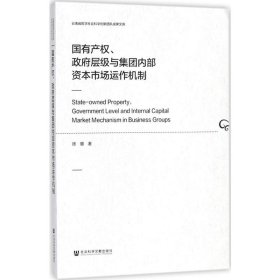 国有产权政府层级与集团内部资本市场运作机制 9787520121903