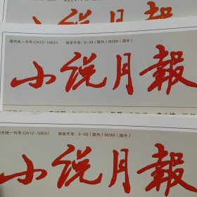 小说月报3本，每本30元，分别有：范稳《天际线》葛亮《浮图》哲贵《化蝶》韩松落《天仙配》刘汀《一岁一枯荣》张新科《丑角》；周大新《云兮云兮》季宇《甲申疑案》陆颖墨《竹楼海》蔡测海《吴青梁子》乔叶《无疾而终》杜光辉《观天象的人》蒋一谈《2049》东紫《亲爱的，你得理解我》；王蒙《霞满天》王安忆《五湖四海》程永新《他乡》孙频《棣棠之约》曾剑《鸿雁》孙睿《抠绿大师》王选《归去来兮》