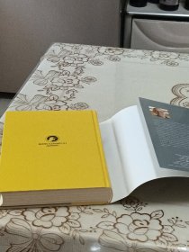 让大象飞:激进创新，让你一飞冲天的创业术