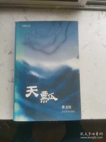 天瓢：16开简装本