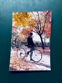 青年男子在公园内骑弯把公路自行车 80年代（5吋彩色老照片）