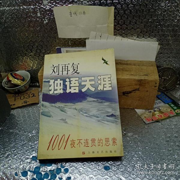 独语天涯：1001夜不连贯的思索