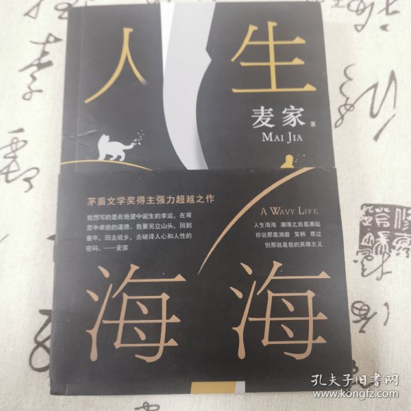 麦家：人生海海（茅盾文学奖得主麦家2019年强力之作）