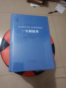 一生的故事（套装共6册）/非琴俄罗斯文学经典译文集