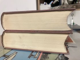 唐代墓誌彙編 （全二册）