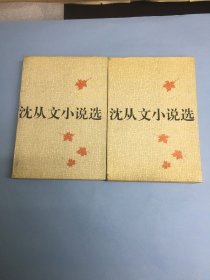 沈从文小说选（共两册）