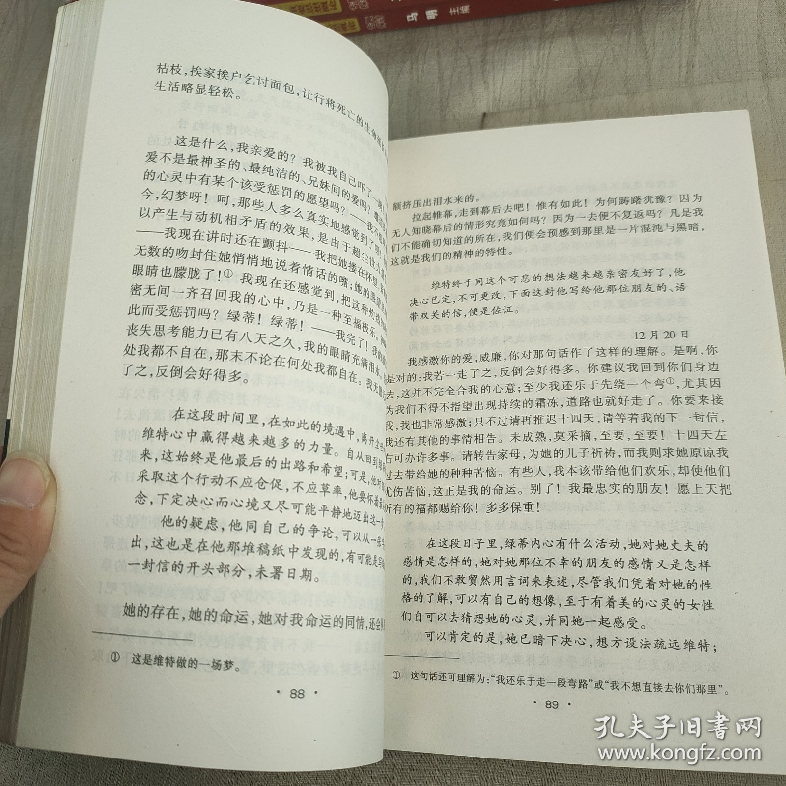 少年维特之烦恼