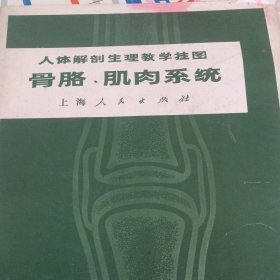 人体解剖生理教学挂图（骨格，肌肉系统）4幅全