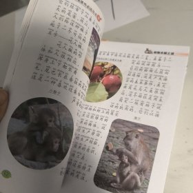 中国少年儿童百科·中国世界未解之谜（彩图注音版套装全8册）