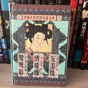 中国古代禁毁言情小说：16开本