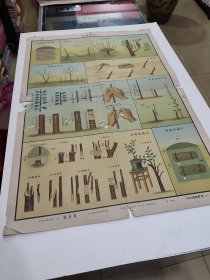 果树园艺，西北农学院