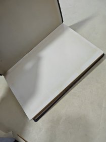 化学纸浆的漂白【俄文版】